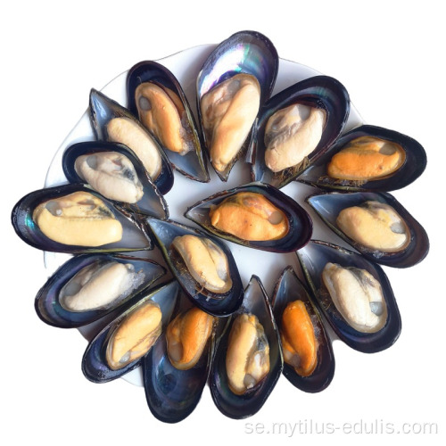 Hot rea skaldjur färsk IQF fryst blå mussla pris